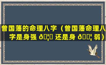 曾国藩的命理八字（曾国藩命理八字是身强 🦉 还是身 🐦 弱）